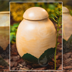 Urna Biodegradable Verde