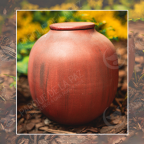 Biodegradable XL ROJA